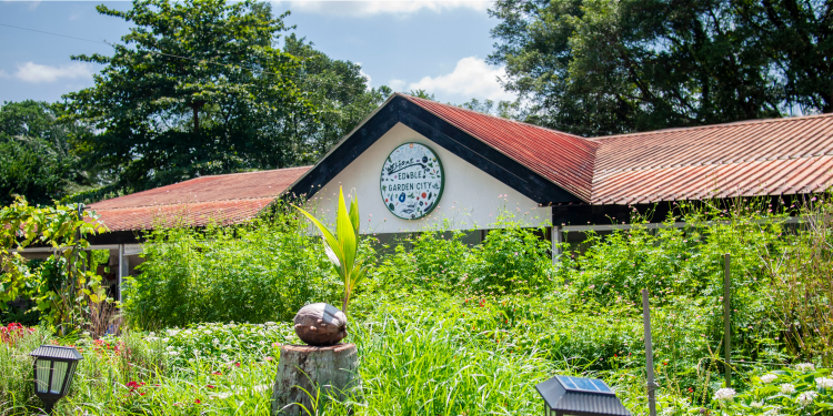 thumbnails IPRS Visits The Edible Garden City